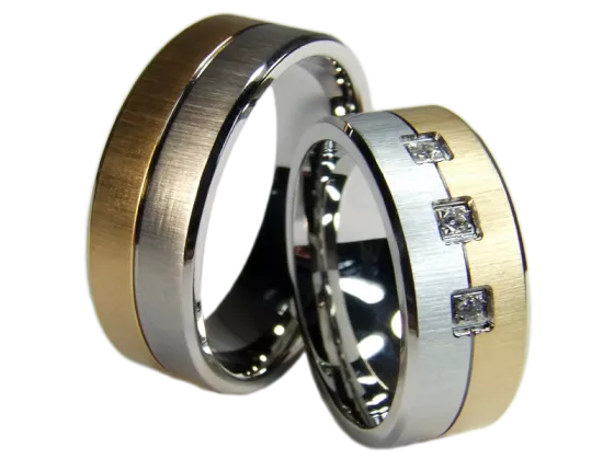 Model Orion - 2 rings stainless steel bicolor