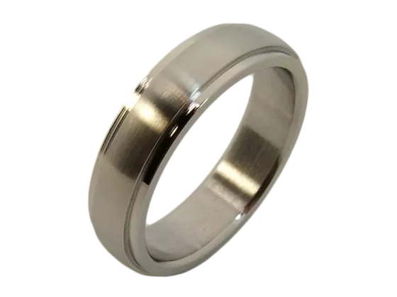 Modell Gustav - 1 Ring aus Edelstahl