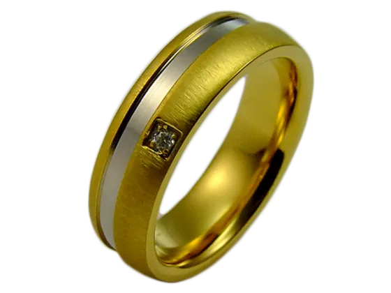 Modell Diane - 1 Ring aus Edelstahl