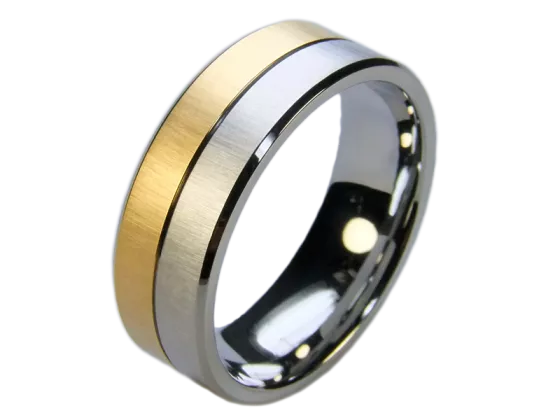 Modell Orion - 1 Ring aus Edelstahl