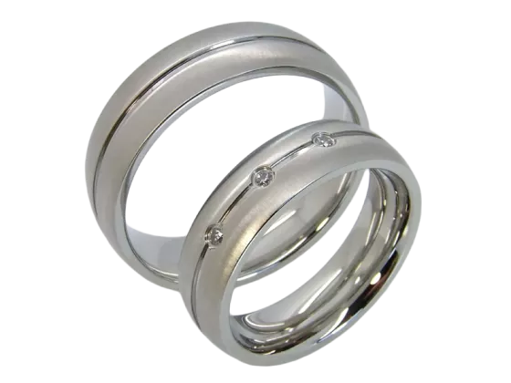 Model Cedric - 2 rings stainless steel