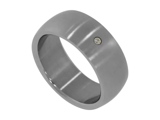 Model David - 1 ring stainless steel