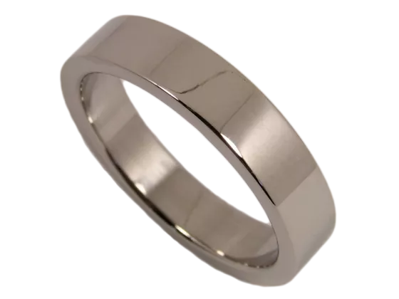 Model Nick - single ring stainless steel
