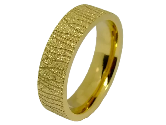 Modell Isabelle - 1 Ring aus Edelstahl