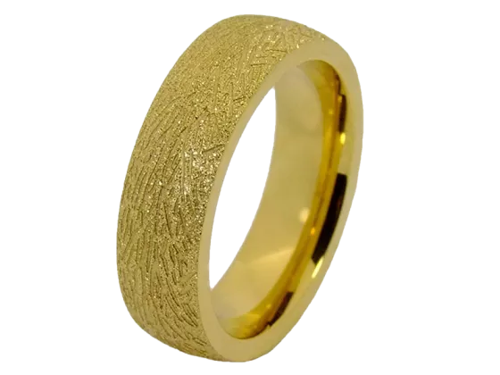 Modell Pascal - 1 Ring aus Edelstahl