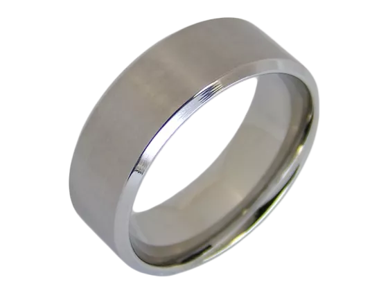 Model Pauletta - single ring made of stainless steel