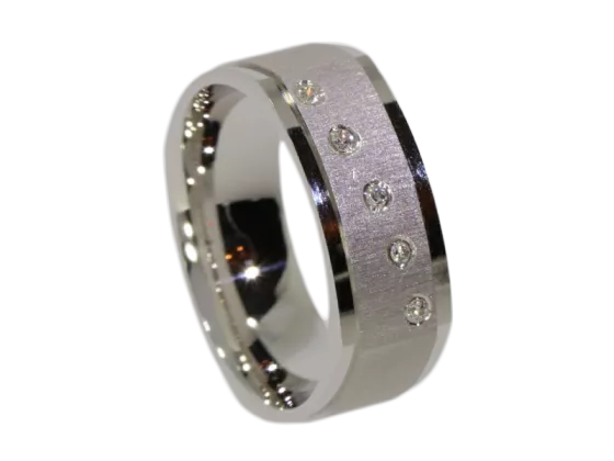 Modell Cosmo - 1 Ring aus Silber