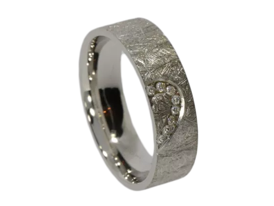 Modell Elliot - 1 Ring aus Silber