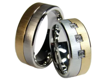 Model Orion - 2 rings stainless steel bicolor