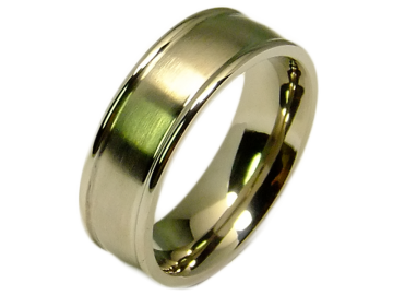 Model Andre - single titanium ring