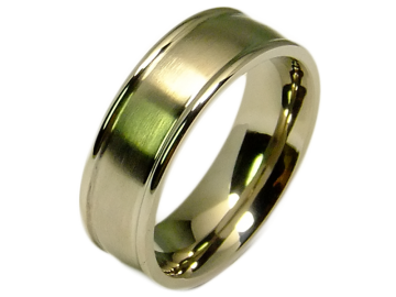 Modell Andre - 1 Ring aus Titan