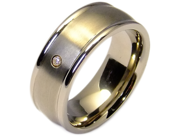 Modell Andre - 1 Ring aus Titan