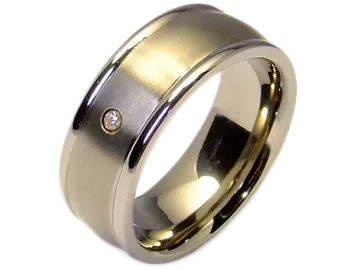 Model Andre - single titanium ring