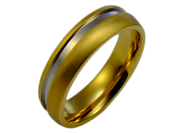 Modell Diane - 1 Ring aus Edelstahl