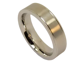 Model Antoinette - 1 ring stainless steel