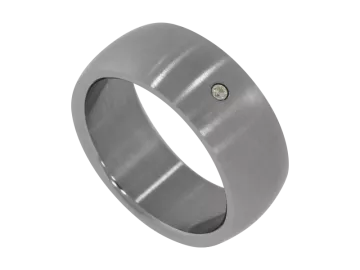 Modell David - 1 Ring aus Edelstahl