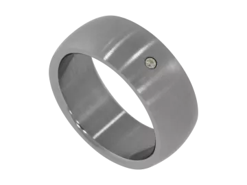 Model David - 1 ring stainless steel