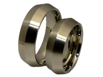 Model Barbra - 2 stainless steel rings