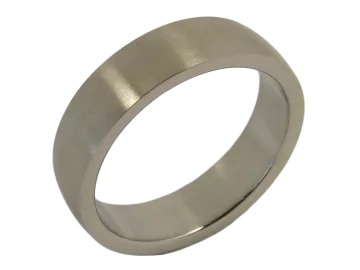 Modell Lilly / Felix - 1 Ring aus Edelstahl