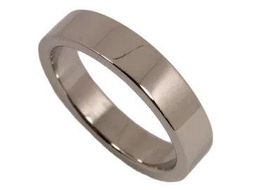 Model Nick - ring pair stainless steel