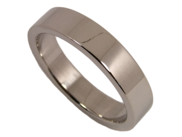 Modell Nick -  1 Ring aus Edelstahl
