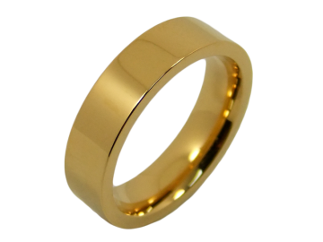 Modell Bill - 1 Ring aus Edelstahl