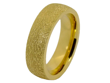 Modell Pascal - 1 Ring aus Edelstahl