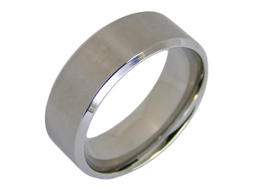 Modell Pauletta - 1 Ring aus Edelstahl